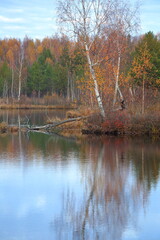 Autumn lake with beautiful trees and tree reflected in water wild nature