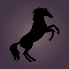 silhouette of a horse