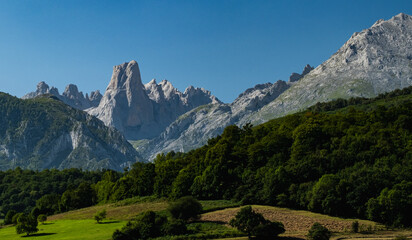 beautiful valley with large mountains in the background