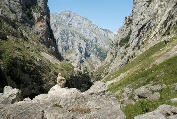 stone dominating the canyon