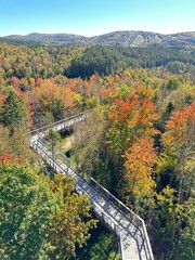 Fototapeta premium autumn in the Laurentides