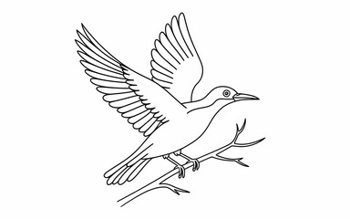 Obraz premium Birds coloring page illustration design and coloring book design black and white background illustration concept 