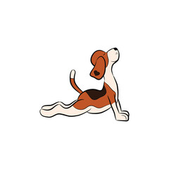 Cartoon illustration of a stretching basset hound dog