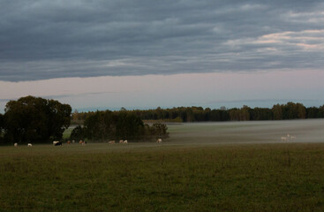 Fototapeta premium Latvian Landscape in autumn