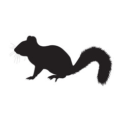 Silhouette of a squirrel in profile