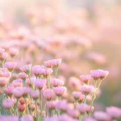 Beautiful Close-up blooming Flowers Background