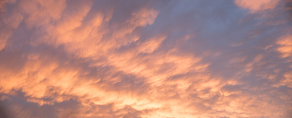 beautiful wide sunset sky with pink mammatus clouds