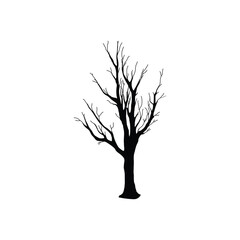 silhouette of a tree
