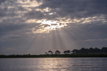 Dawn at Mabamba bay, Lake Victoria, Uganda.