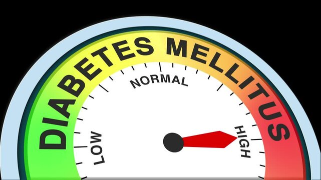 Diabetes Mellitus Level Text or Word Low and Medium to High Meter Concept Animation on Black Background and Blue Screen