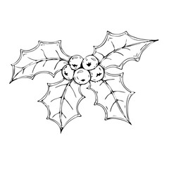 Holly berry Christmas hand drawn illustration. Element for design. Vector illustration. Design elements for greeting card or invitation. Black outlines, white background