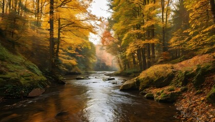 River in the forest in Autumn