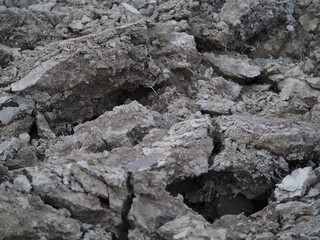 Gleba, grudy ziemi © EwaAF