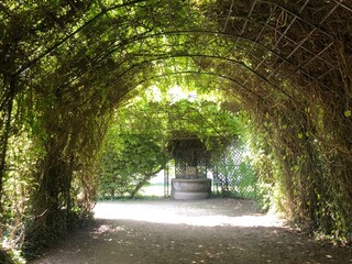 Jardin du parc de Compiègne