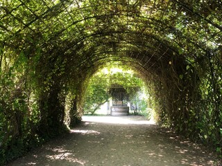 Jardin du parc de Compiègne