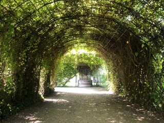 Jardin du parc de Compiègne