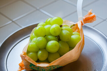 シャインマスカット