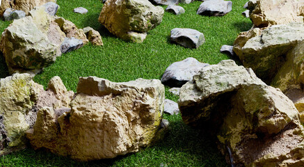 rock and grass field background