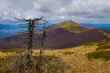 A walk in the Bieszczady National Park - Poland. © Jacek 