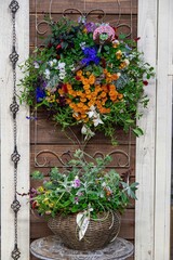 秋の深まり花ざかり