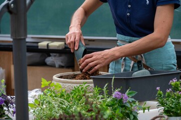 秋の深まり花ざかり