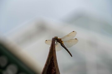 秋の深まり花ざかり