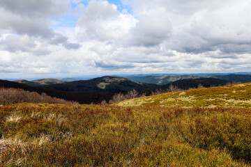 A walk in the Bieszczady National Park - Poland.