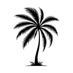 Fototapeta premium a single palm tree silhouette vector