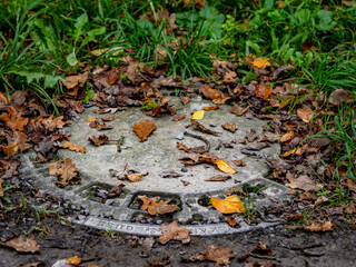 Herbstliches Laub auf einem Schacht im Wald