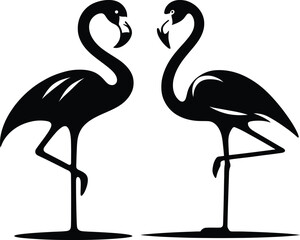 The Beauty of Flamingos Silhouettes