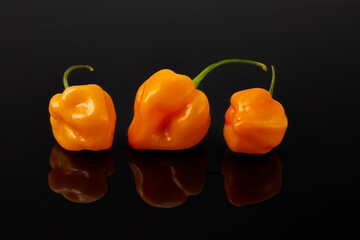 Papryczka habanero