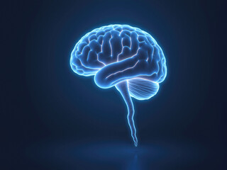 Glowing human brain rendering on blue background