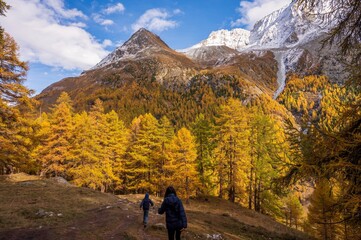 Fototapeta premium People hiking in autumn. Landscape of the mountains, sky and forest. Snowcapped mountain. La Gouille, Evolene, Switzerland..