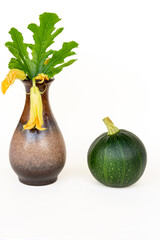 one round courgette , cucurbita pepo, zucchini on wood and zucchini flower in a vase white background.