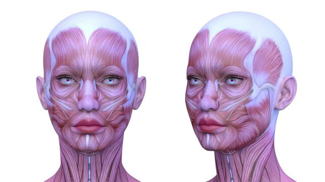 女性の顔アップ　3DCGレンダリング