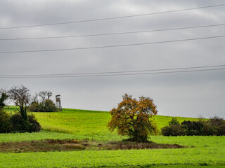 Hoch und Jägersitz im Feld