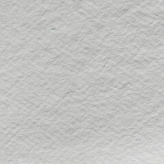 Watercolor paper texture. Paper texture for use as a background