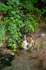 trash Pollution in water in nature 