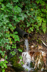 trash Pollution in water in nature 