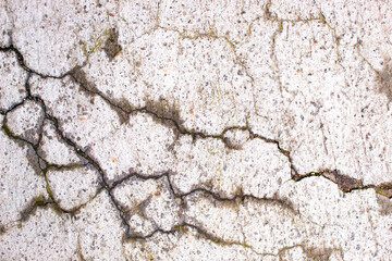 Textura de materiales naturales de piedra y musgo