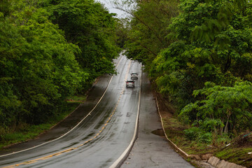 Detalhe de um trecho da Rodovia GO-326 em Anicuns, na estrada asfaltada e molhada com água de chuva, com túnel de árvores frondosas e alguns carros passando.