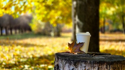 A disposable coffee cup rests on a tree stump surrounded by vibrant autumn leaves in a tranquil park during fall