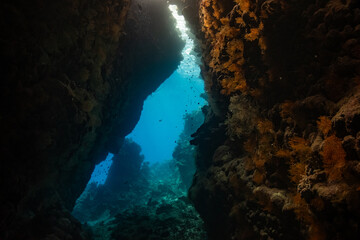 red sea scuba diving corals canyon