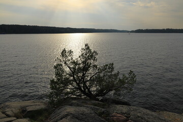 Summer day in September 2024. Mälaren lake. Hässelby, Stockholm, Sweden.
