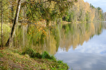 Obraz premium lake and autumn forest on a sunny day