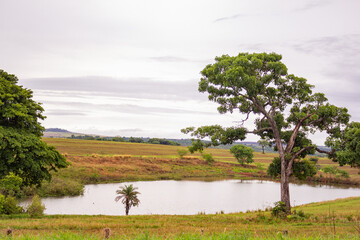 Uma paisagem às margens da GO-326 em Anicuns, com um pequeno lago e algumas árvores ao redor em um dia nublado.