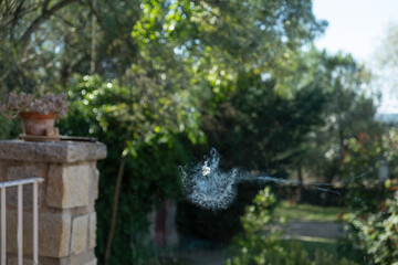Detail of the Collision mark or impact of a bird, probably a pigeon, against a large window of a country house. The bird has left its silhouette in the glass. Attention and accident