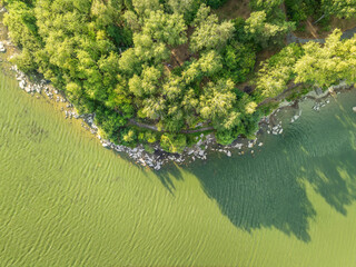 Aerial view of lake or river green shore with forest. Summer season.