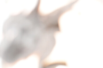 Shapeless dark spot. Messy silhouette.