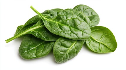 Obraz premium Fresh green spinach leaves arranged neatly, showcasing their vibrant color and healthy appearance.